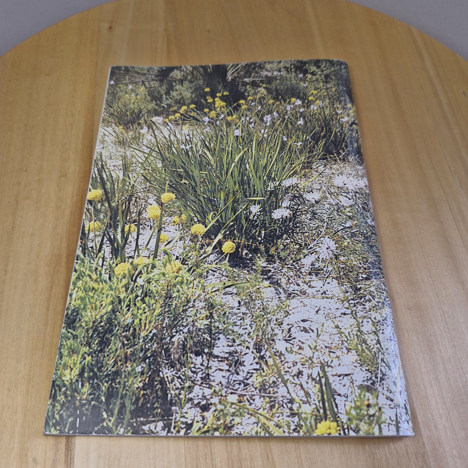 Vintage National Trust (WA) guide: Windows on the past windows on the future ...