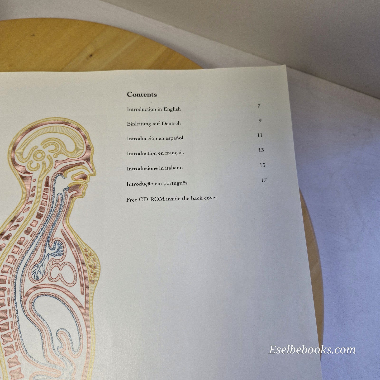 Inside the human body: A Sourcebook for Artists and Designers - paperback NO CD