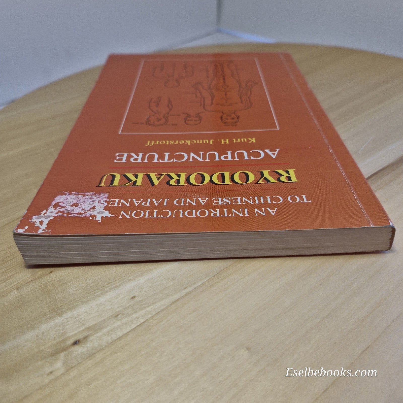 An Introduction to Chinese and Japanese Ryodoraku Acupuncture by K Junckerstorff