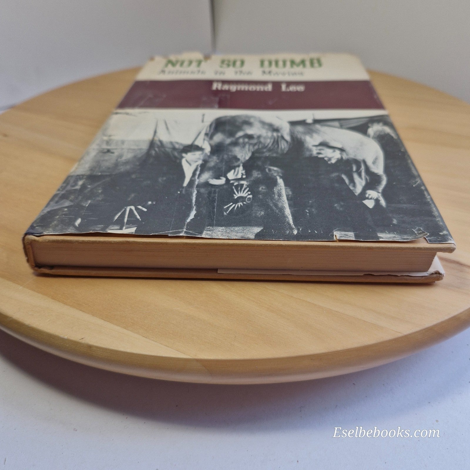 Not so Dumb : the Life and Times of the Animal Actors by Raymond Lee - hardback