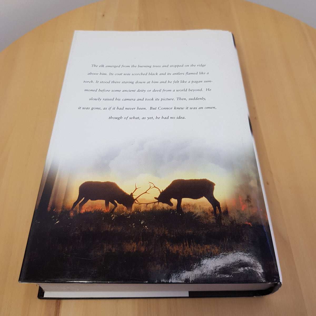 The Smoke Jumper By Nicholas Evans · 2009 - hardback with dust jacket