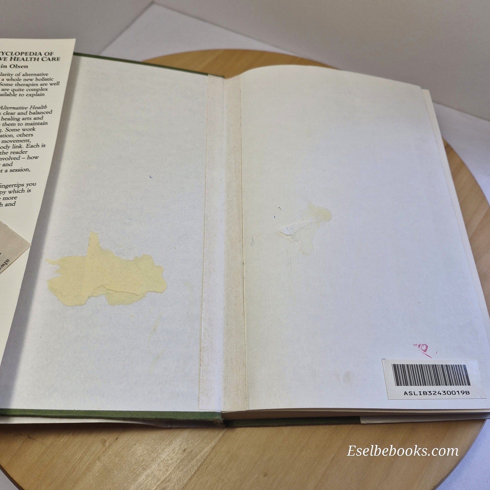 The Encyclopedia of Alternative Health Care By Kristin Gottschalk Olsen · 199...
