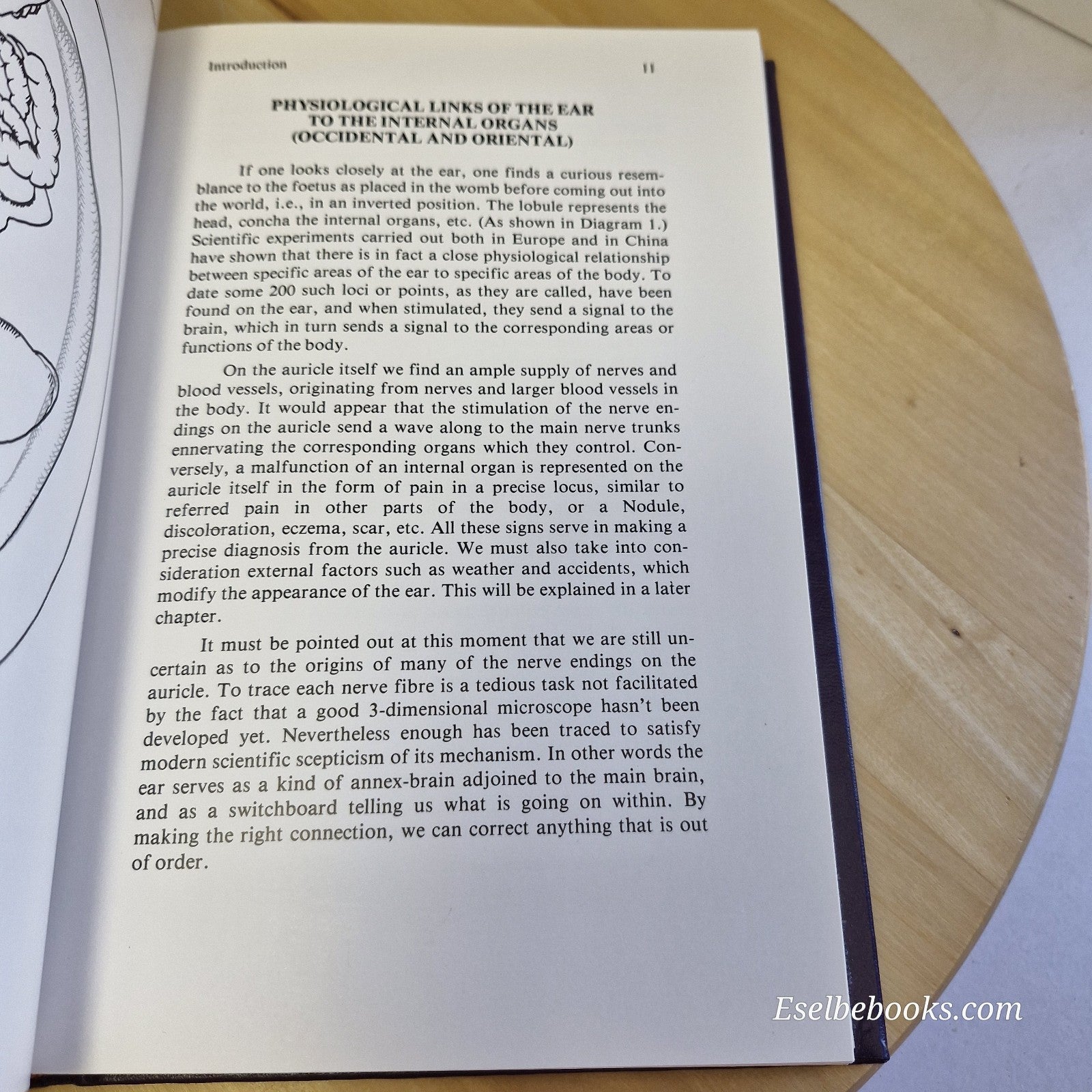 The Ear - Gateway to Balancing the Body: A Modern Guide to Ear Acupuncture