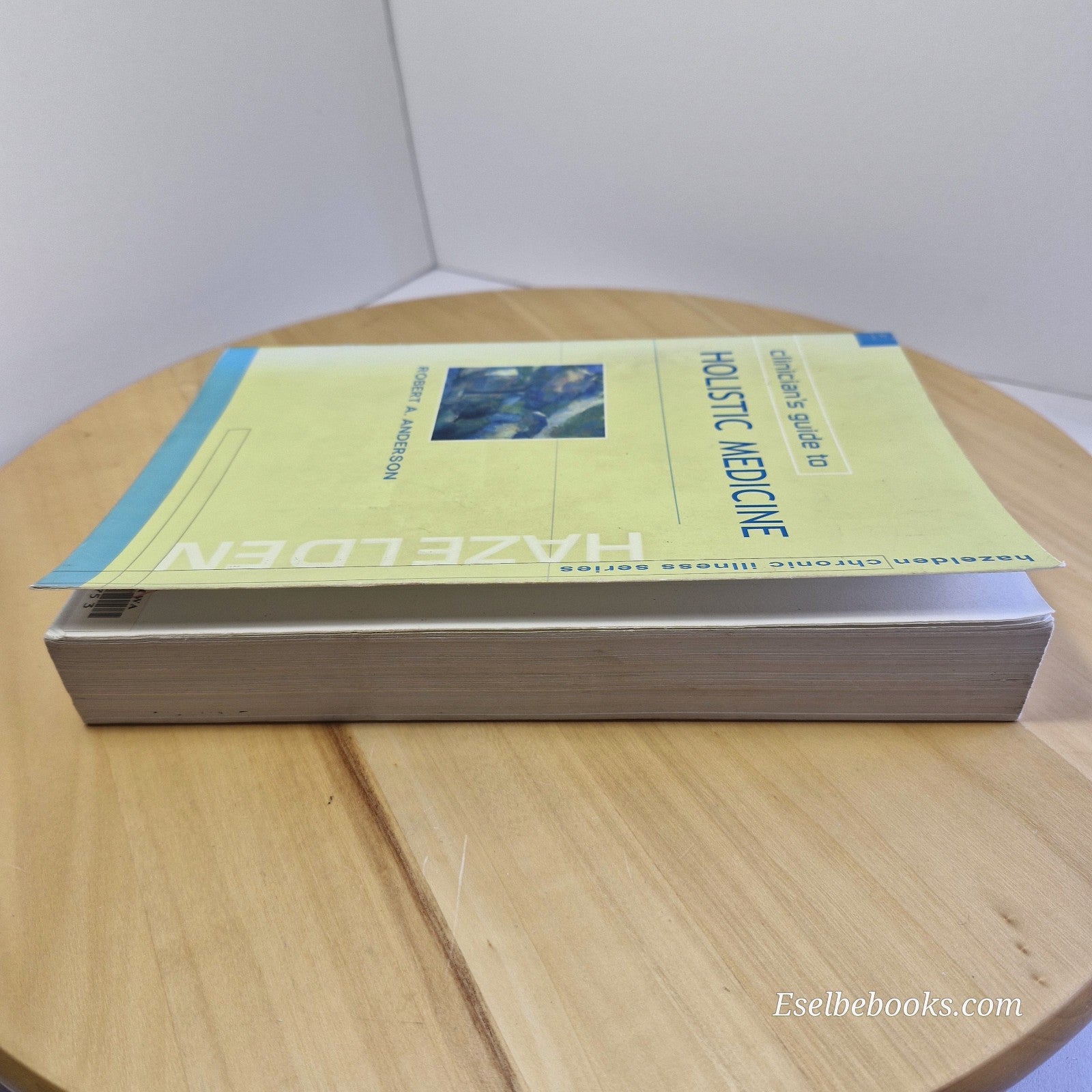 Clinician's Guide to Holistic Medicine By Robert A Anderson · 2001 - paperback