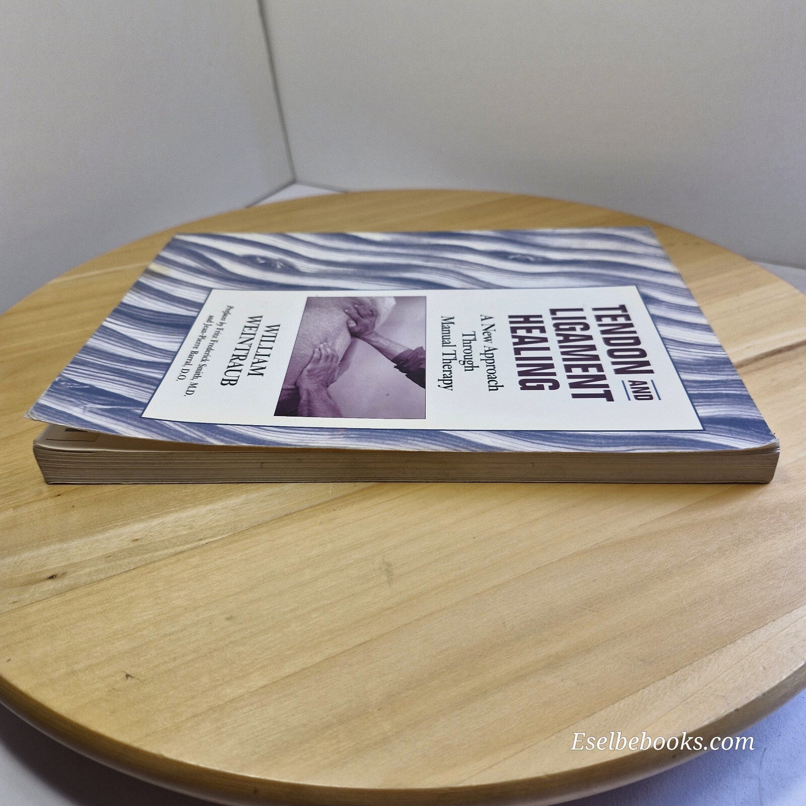 Tendon and Ligament Healing A New Approach Through Manual Therapy By William ...