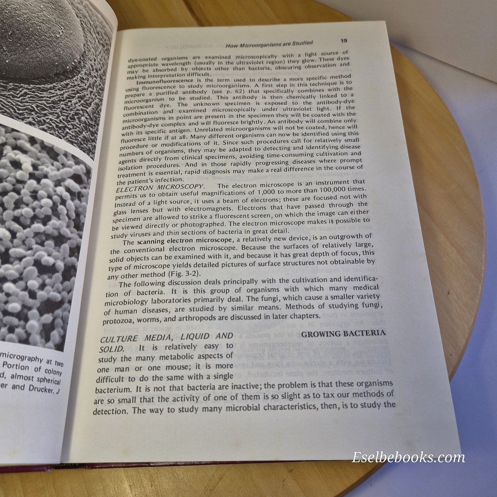 Microorganisms and Human Disease By Ernest Alan Meyer · 1971 - hardback