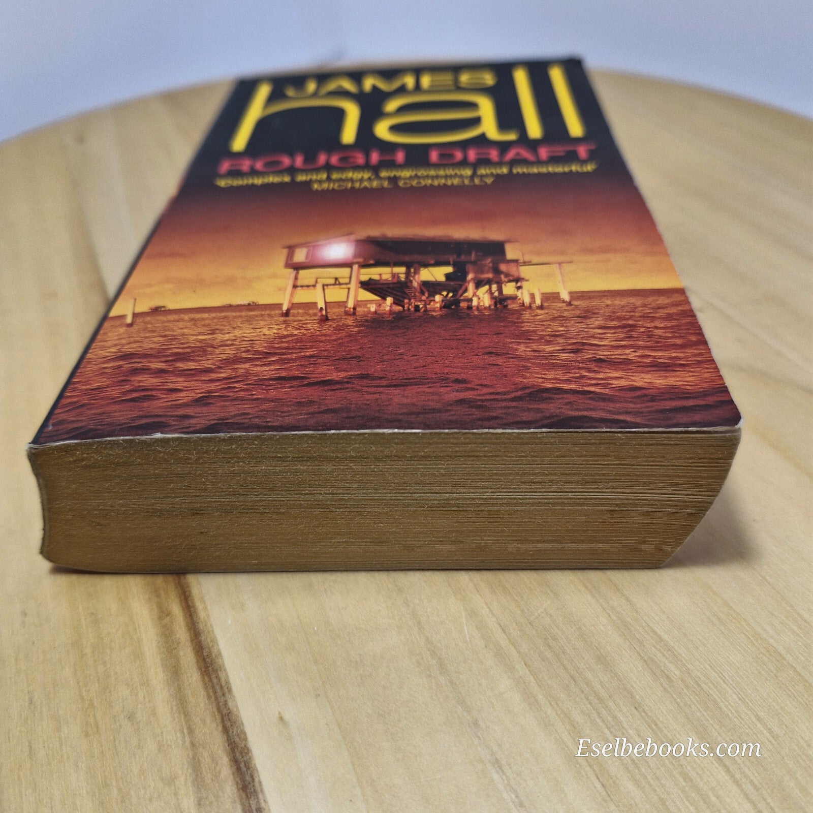 Crime/thriller: Rough draft by James Hall - paperback