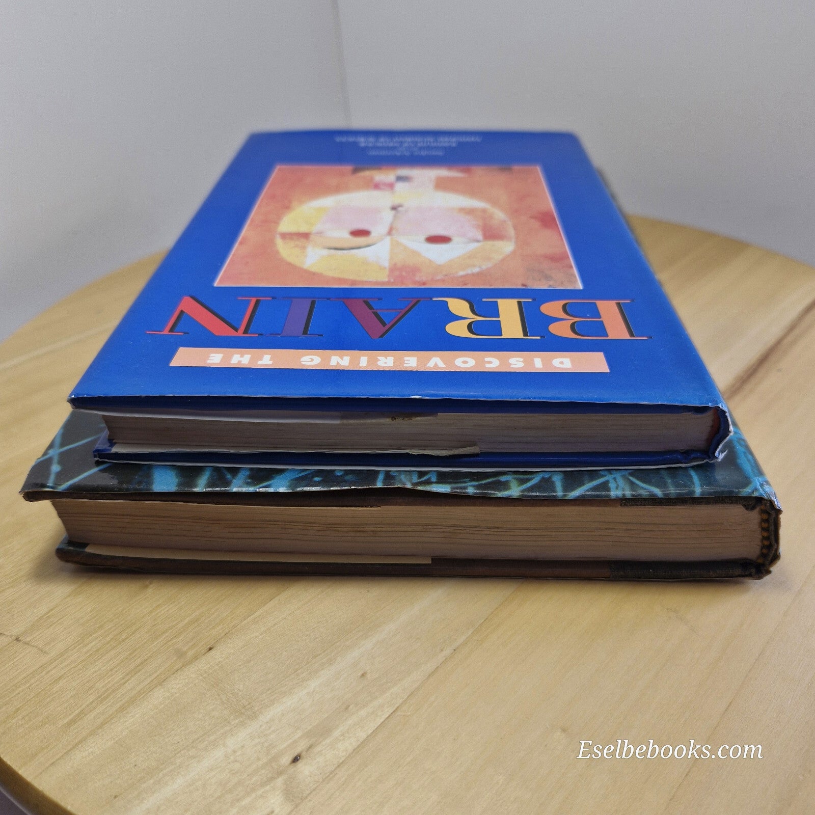 Science: 2 books about the brain - hardbacks