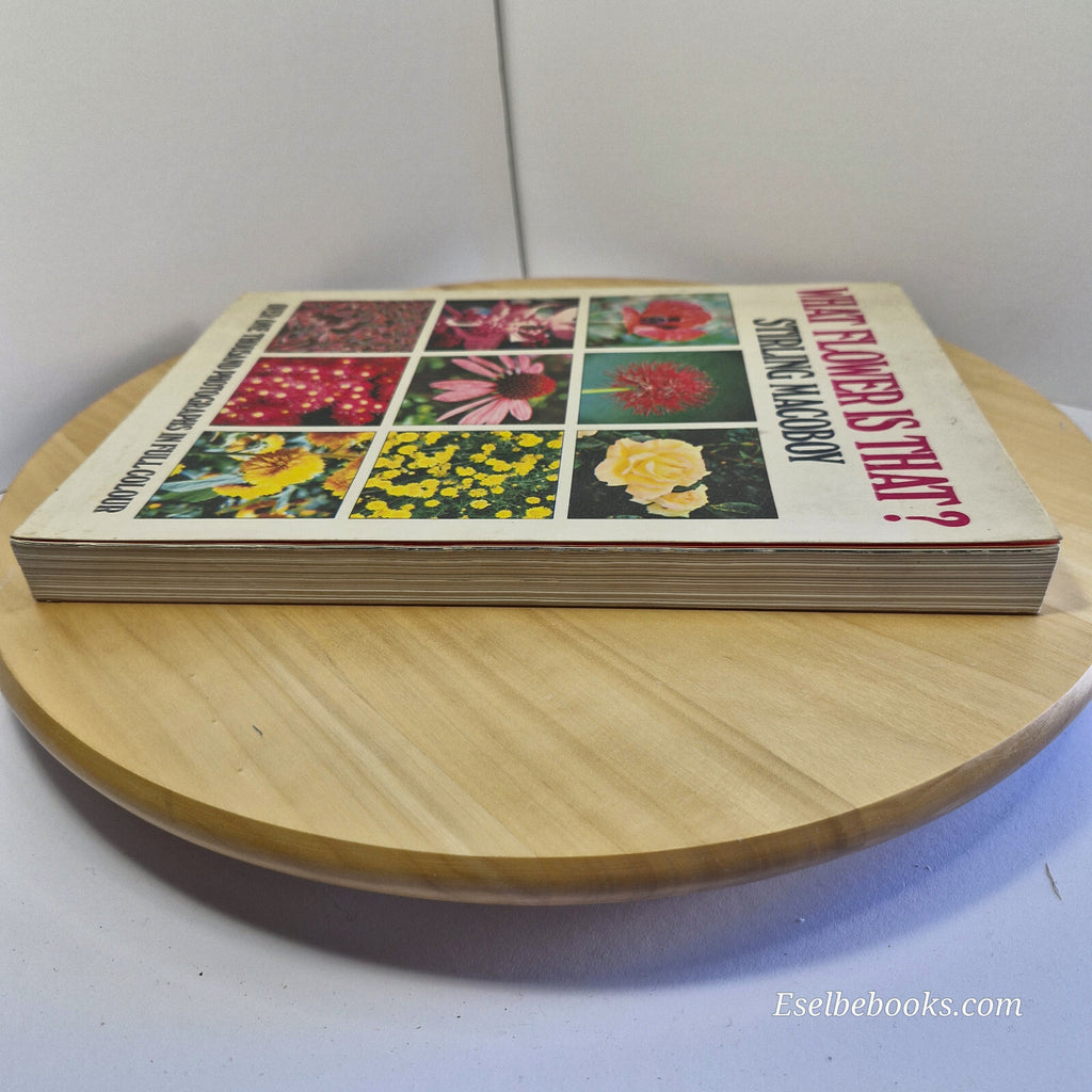 Australian flora: What Flower is That? By Stirling Macoboy · 1980