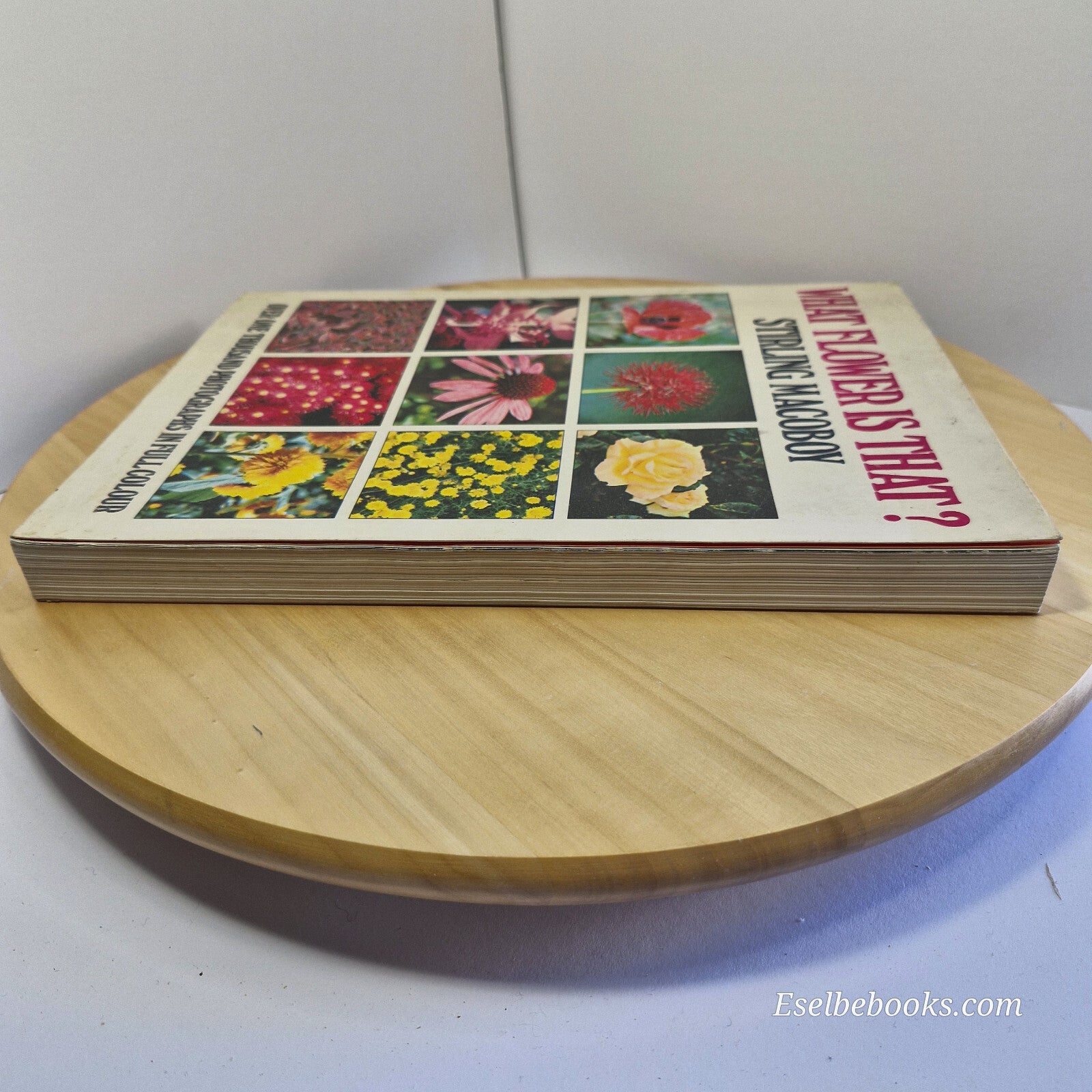 Australian flora: What Flower is That? By Stirling Macoboy · 1980