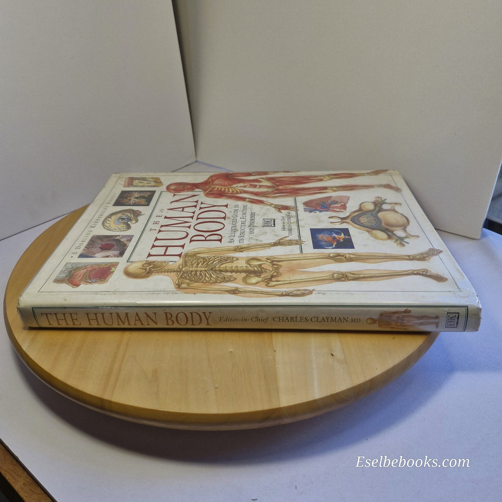 Illustrated Guide to the Human Body by DK Publishing Staff - large hardback