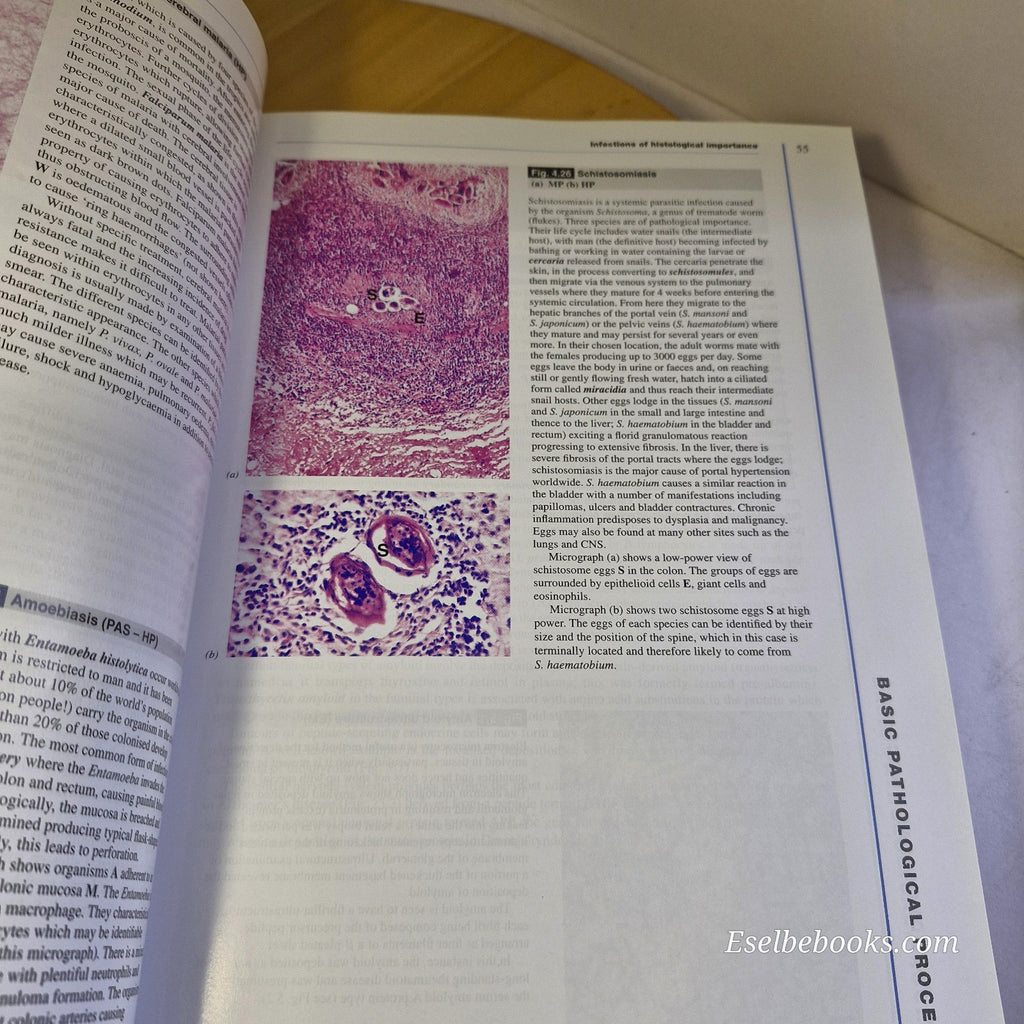 Wheaters Functional Histology & Basic Histology - paperbacks