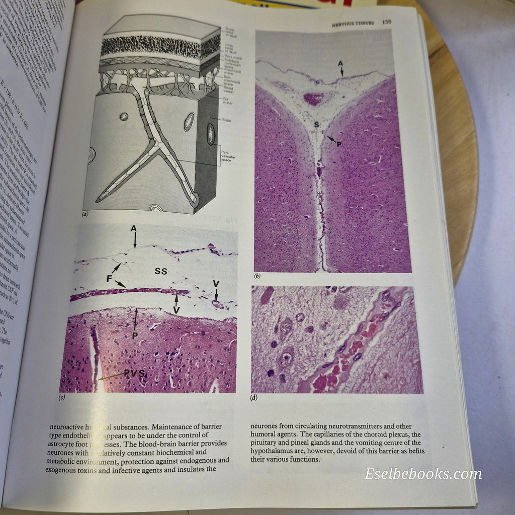 Wheaters Functional Histology & Basic Histology - paperbacks