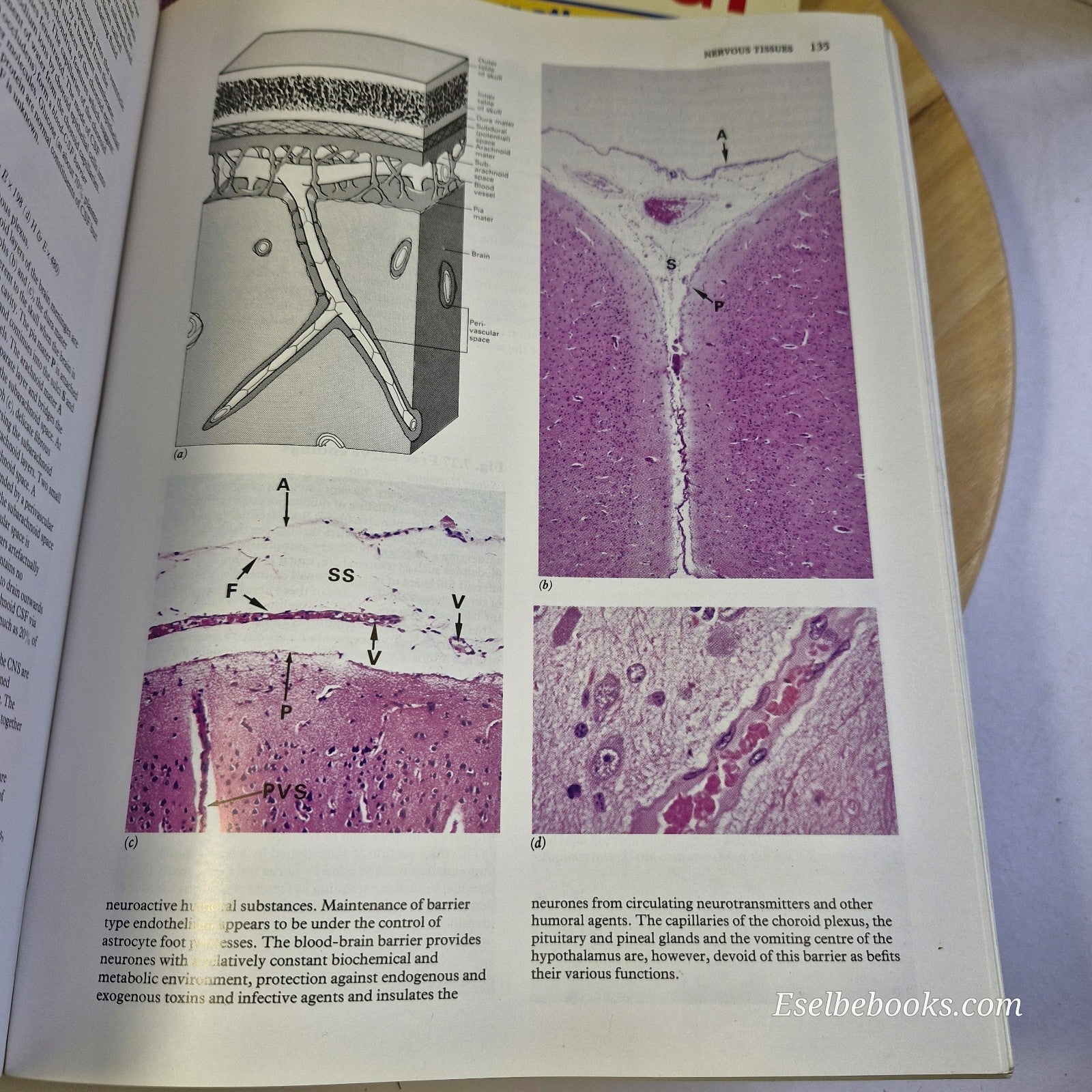 Wheaters Functional Histology & Basic Histology - paperbacks
