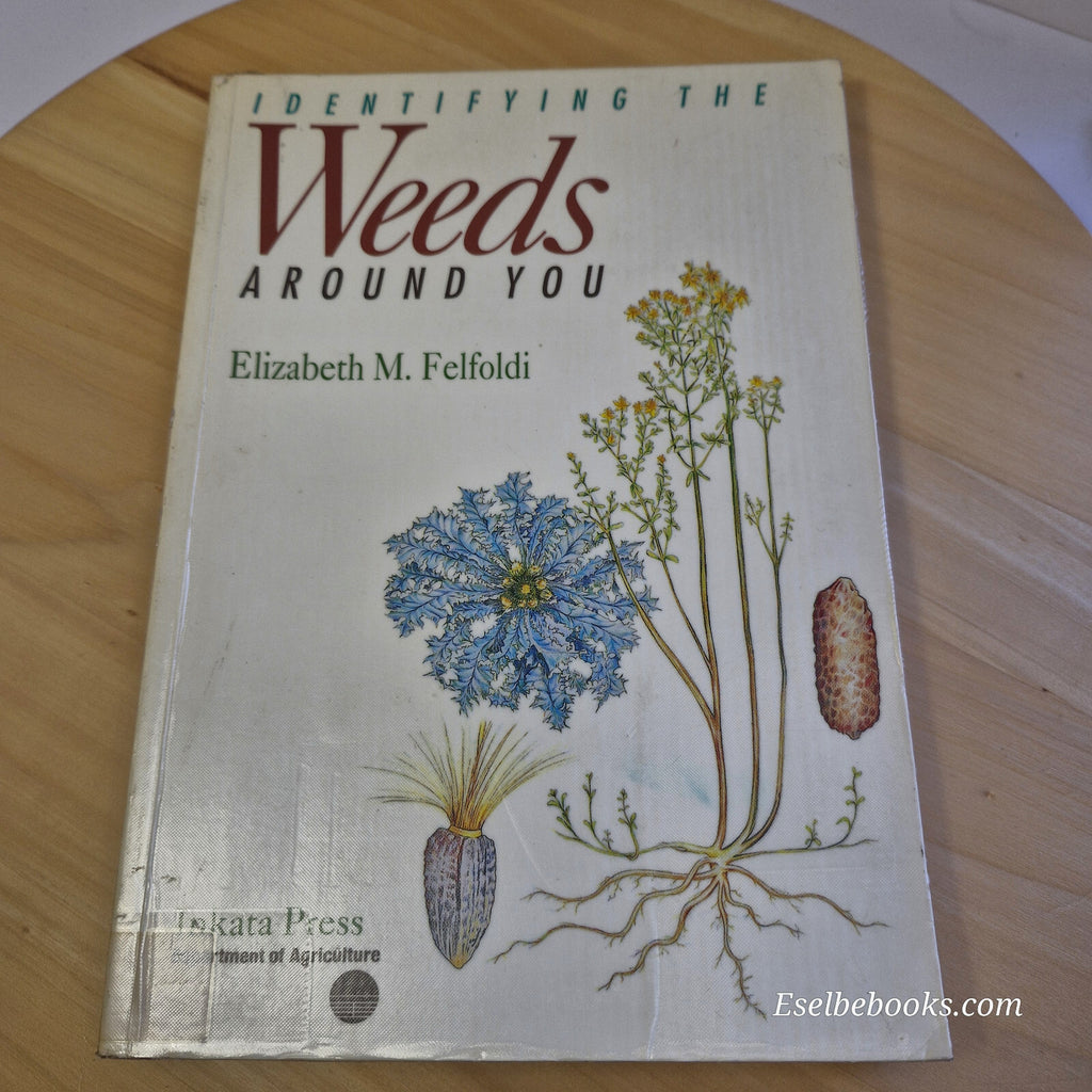 Identifying the Weeds Around You By Elizabeth Maria Felfoldi · 1993 - paperback