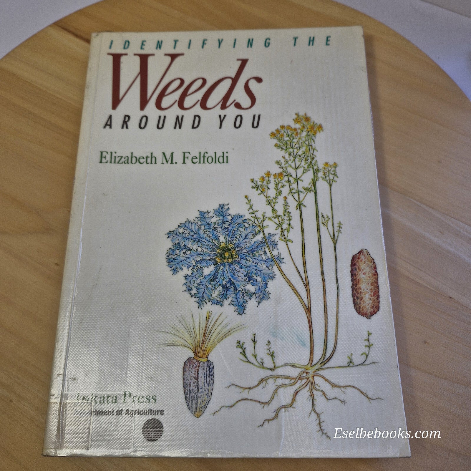 Identifying the Weeds Around You By Elizabeth Maria Felfoldi · 1993 - paperback