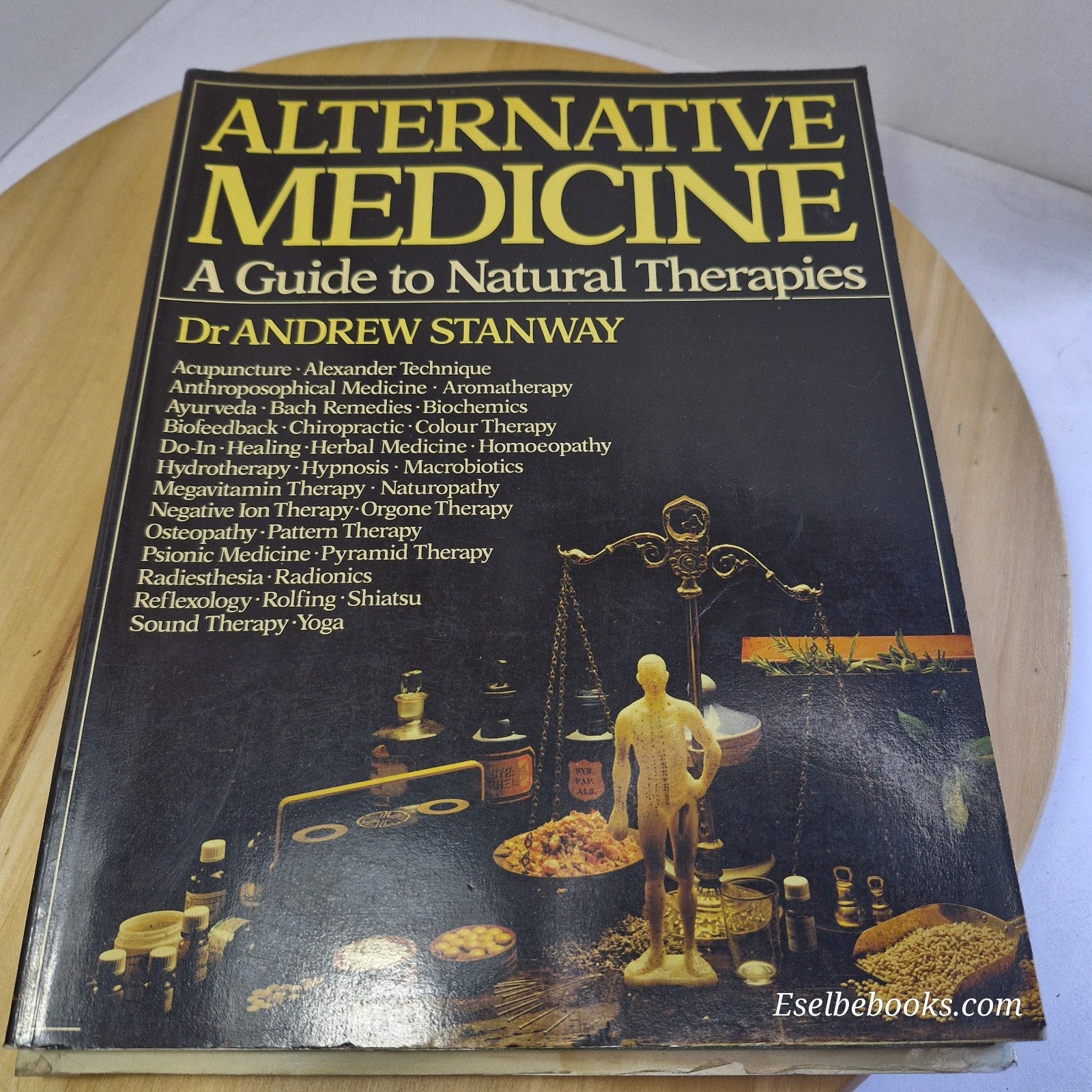 Alternative Medicine A Guide to Natural Therapies By Andrew Stanway · 1982