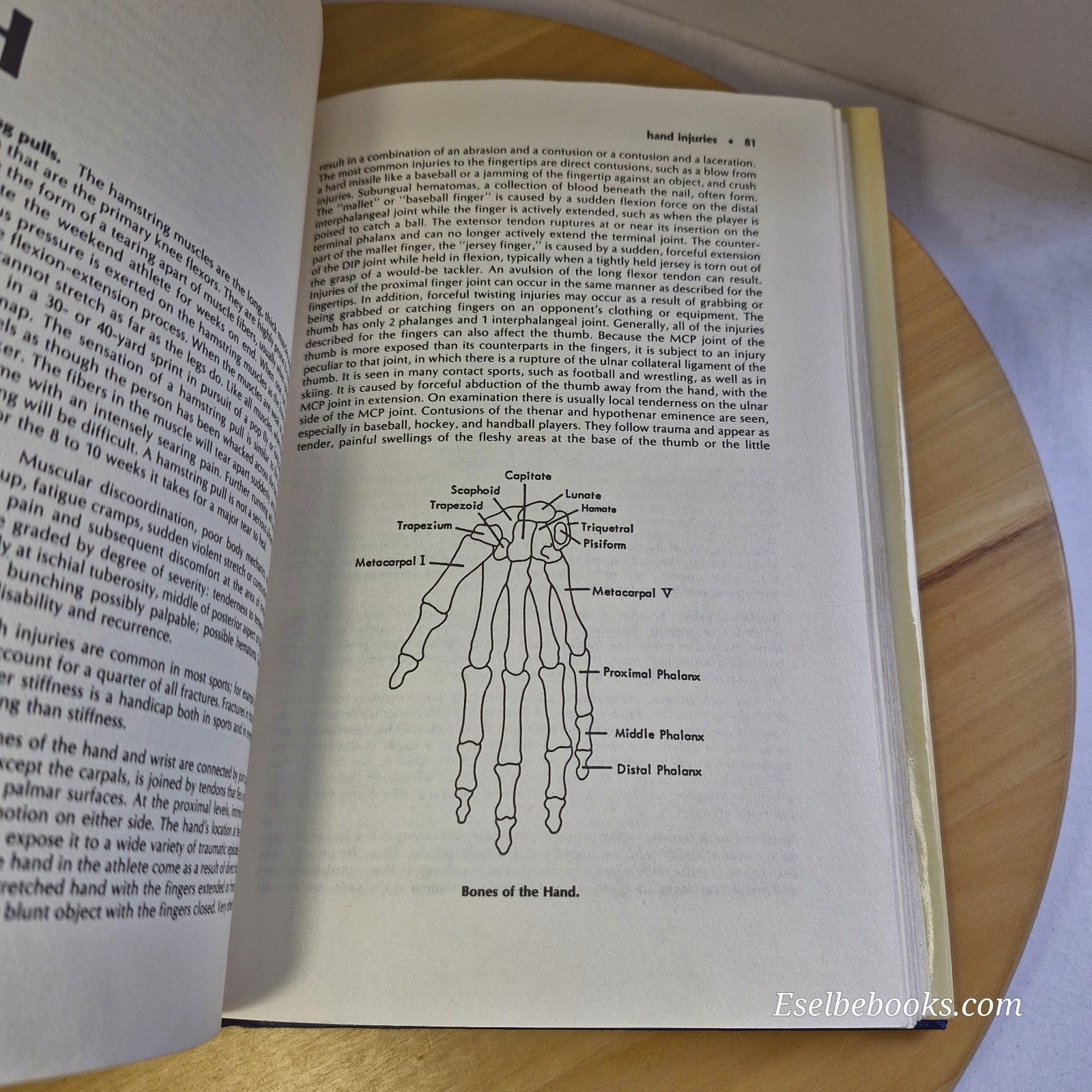 Encyclopedic Dictionary of Sports Medicine By David F Tver Howard F Hunt - 1986