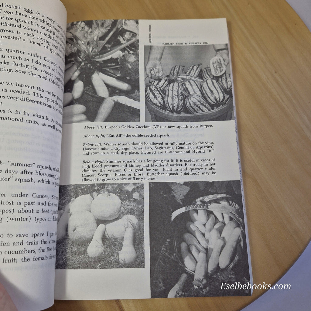 Planetary Planting By Louise Riotte · 1982 - paperback