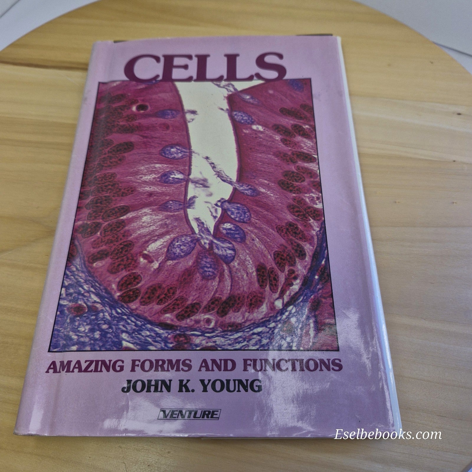 Cells Amazing Forms and Functions By John K. Young · 1990 - hardback with dj