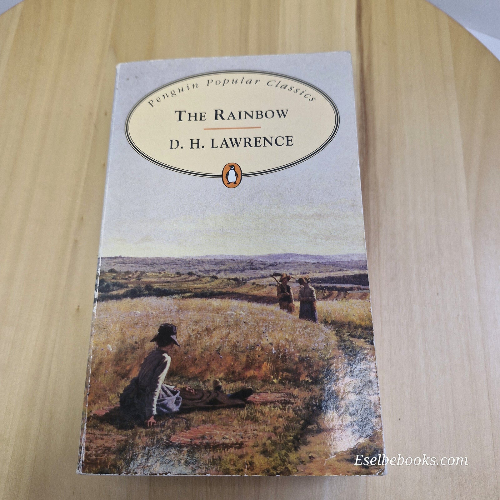 Classic literature: The Rainbow By David Herbert Lawrence · vintage paperback