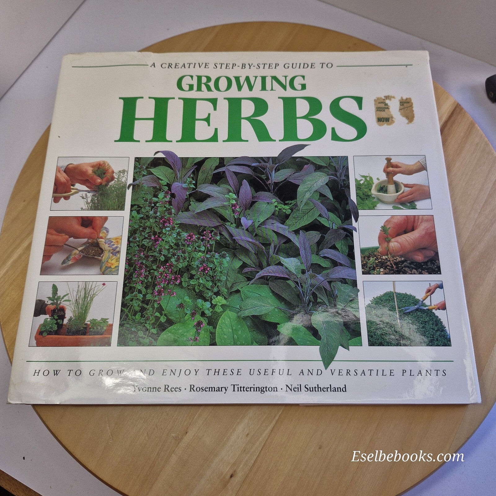 A Creative Step-by-step Guide to Growing Herbs By Yvonne Rees, Rosemary Titte...
