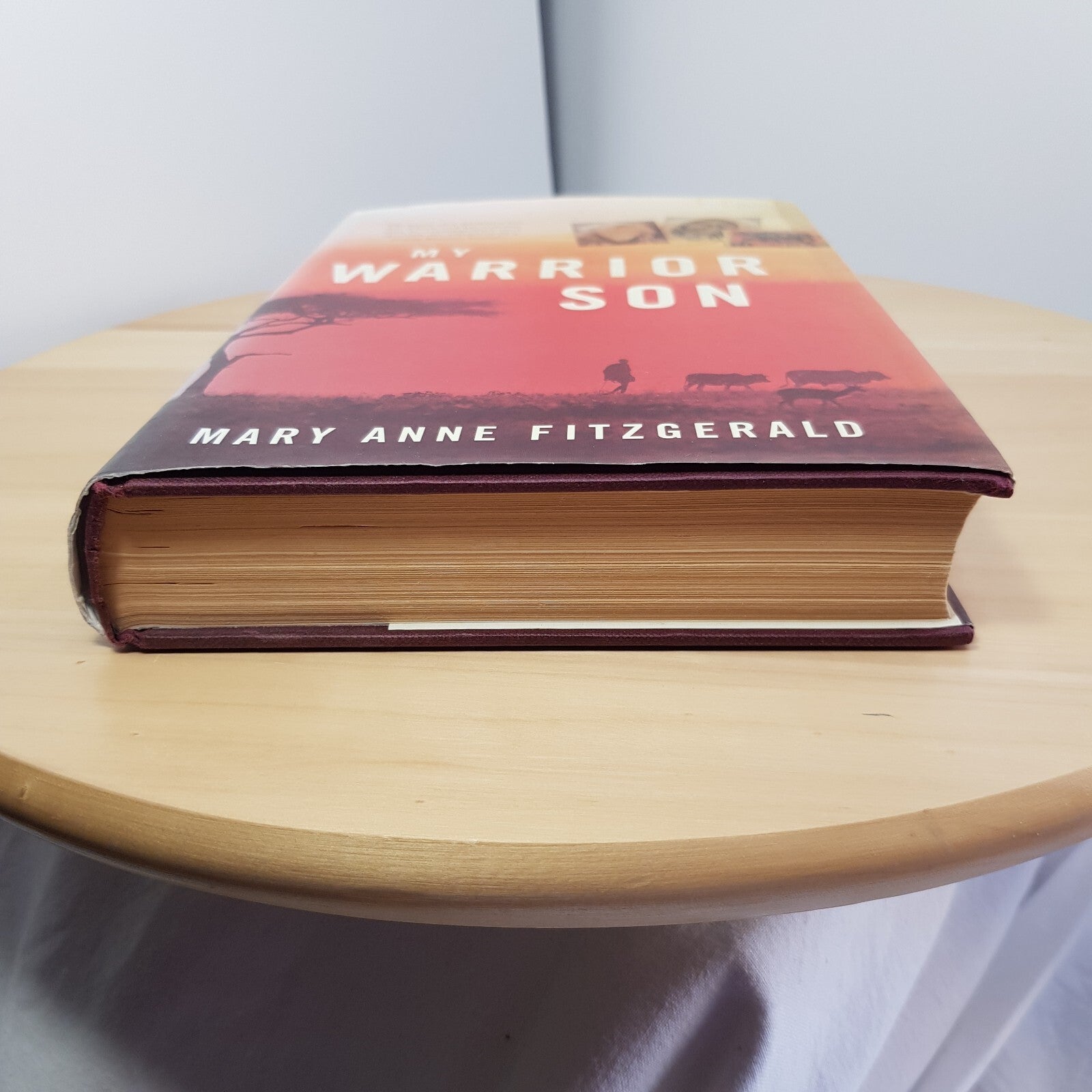 My Warrior Son By Mary Anne Fitzgerald · 1998 - hardback with dust jacket