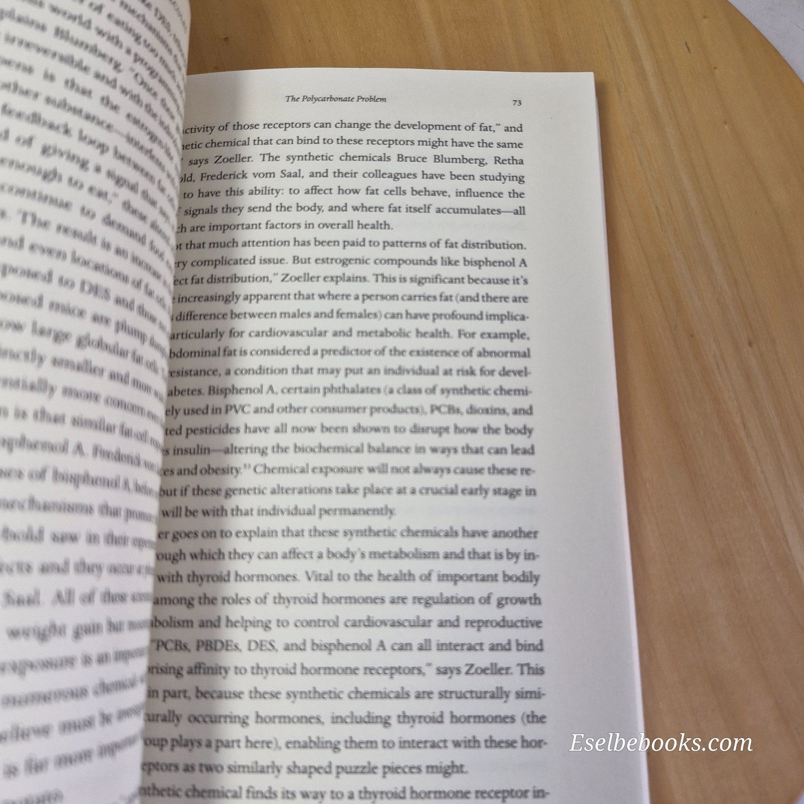 Chasing Molecules by Elizabeth Grossman - paperback