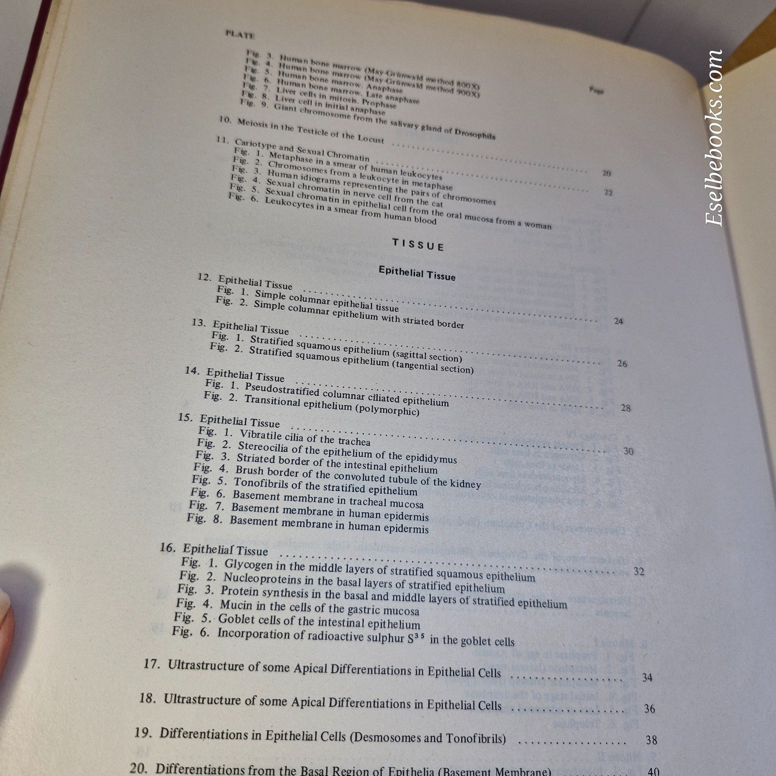 New Atlas of Histology Light Microscopy, Histochemistry and Electron Microscopy