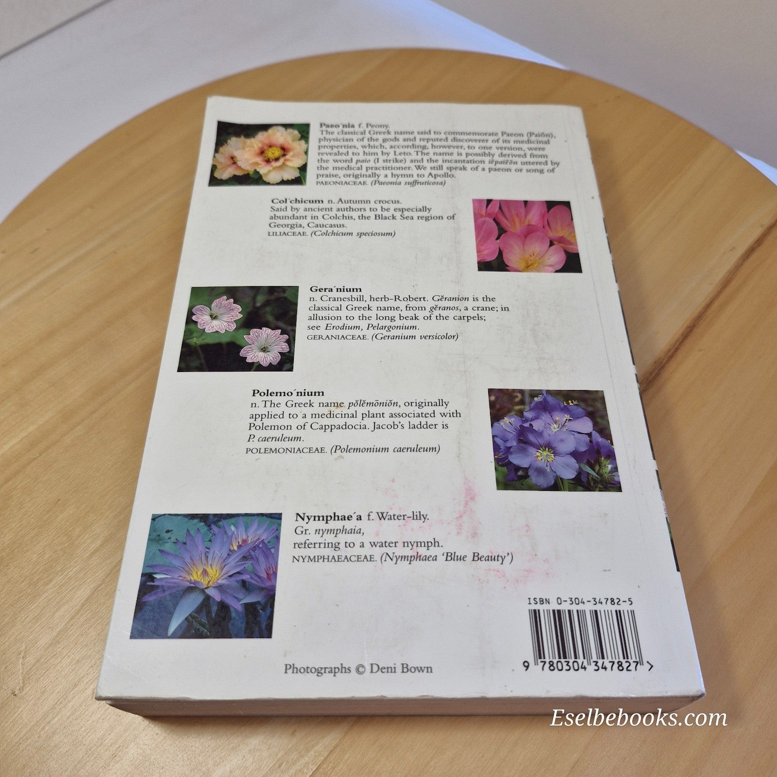 Flora: Stearn's Dictionary of Plant Names by William T Stearn - paperback