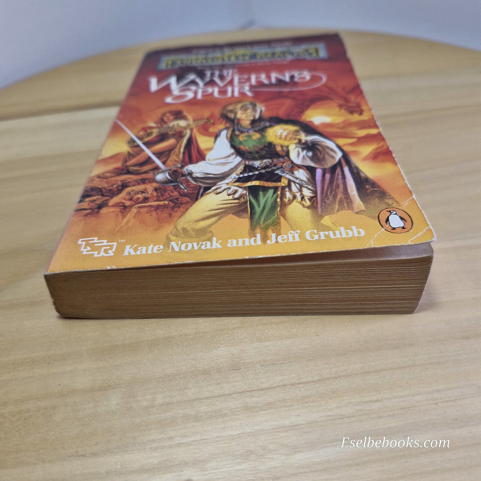 The Wyvern's Spur Finder's Stone Trilogy By Kate Novak - vintage paperback