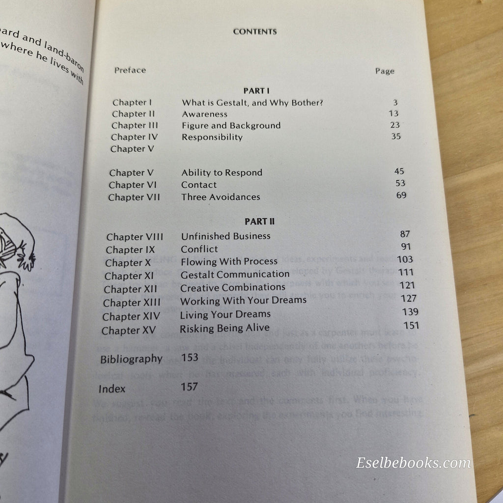 Risking Being Alive The Wisdom of Now By James Oldham, Igor Yaro Starak, Tony...