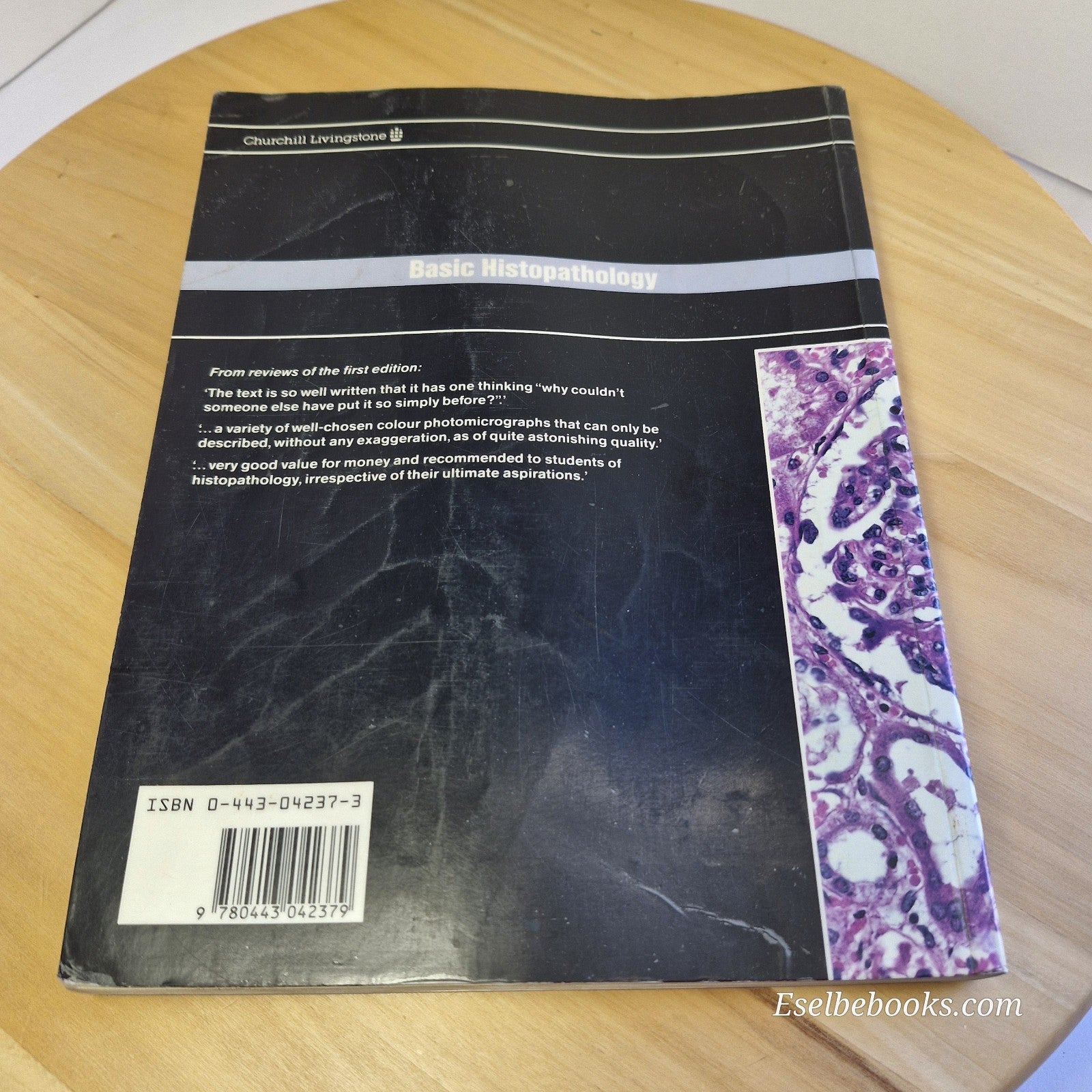 Wheater's Basic Histopathology A Colour Atlas and Text By Burkitt, Stevens, Lowe