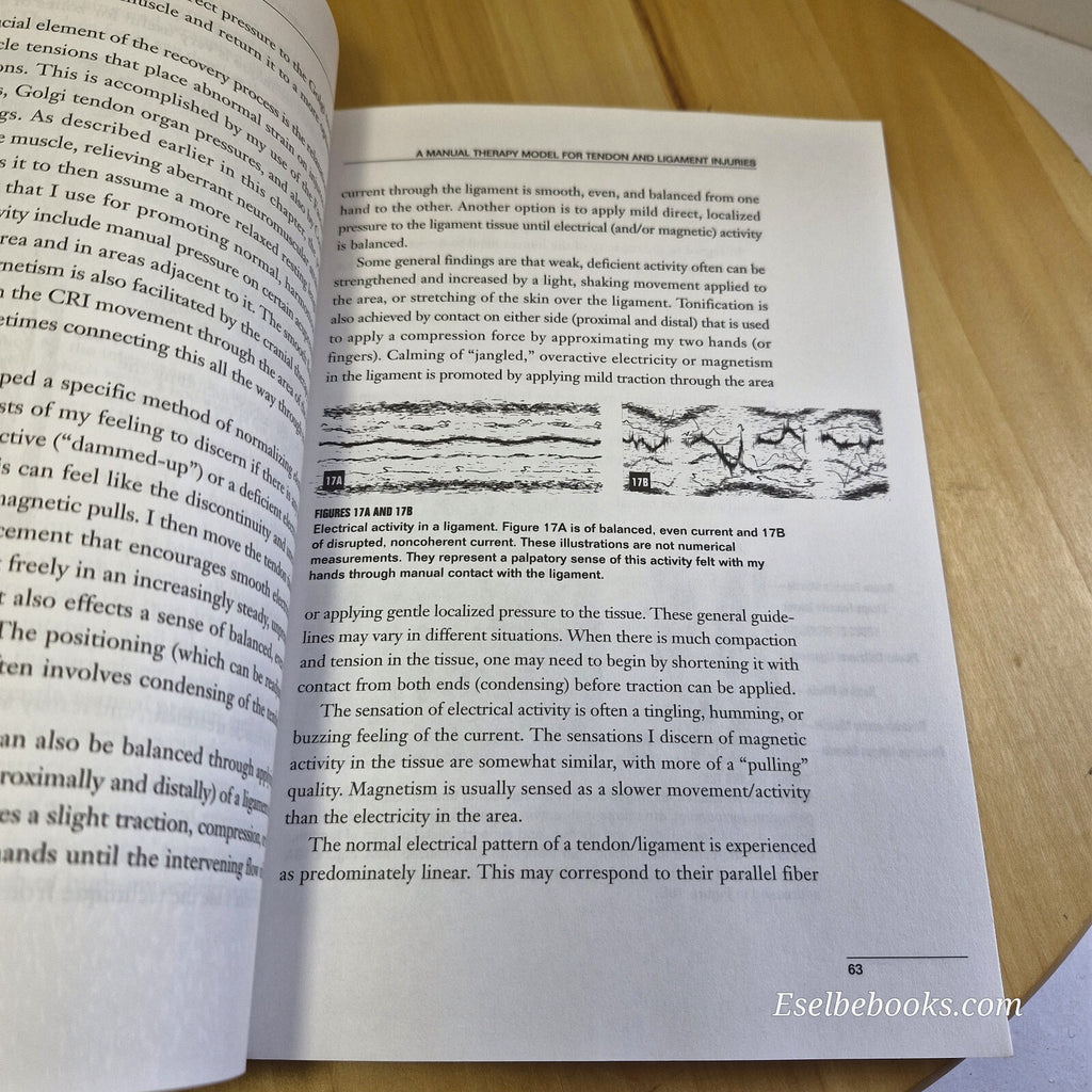 Tendon and Ligament Healing A New Approach Through Manual Therapy By William ...