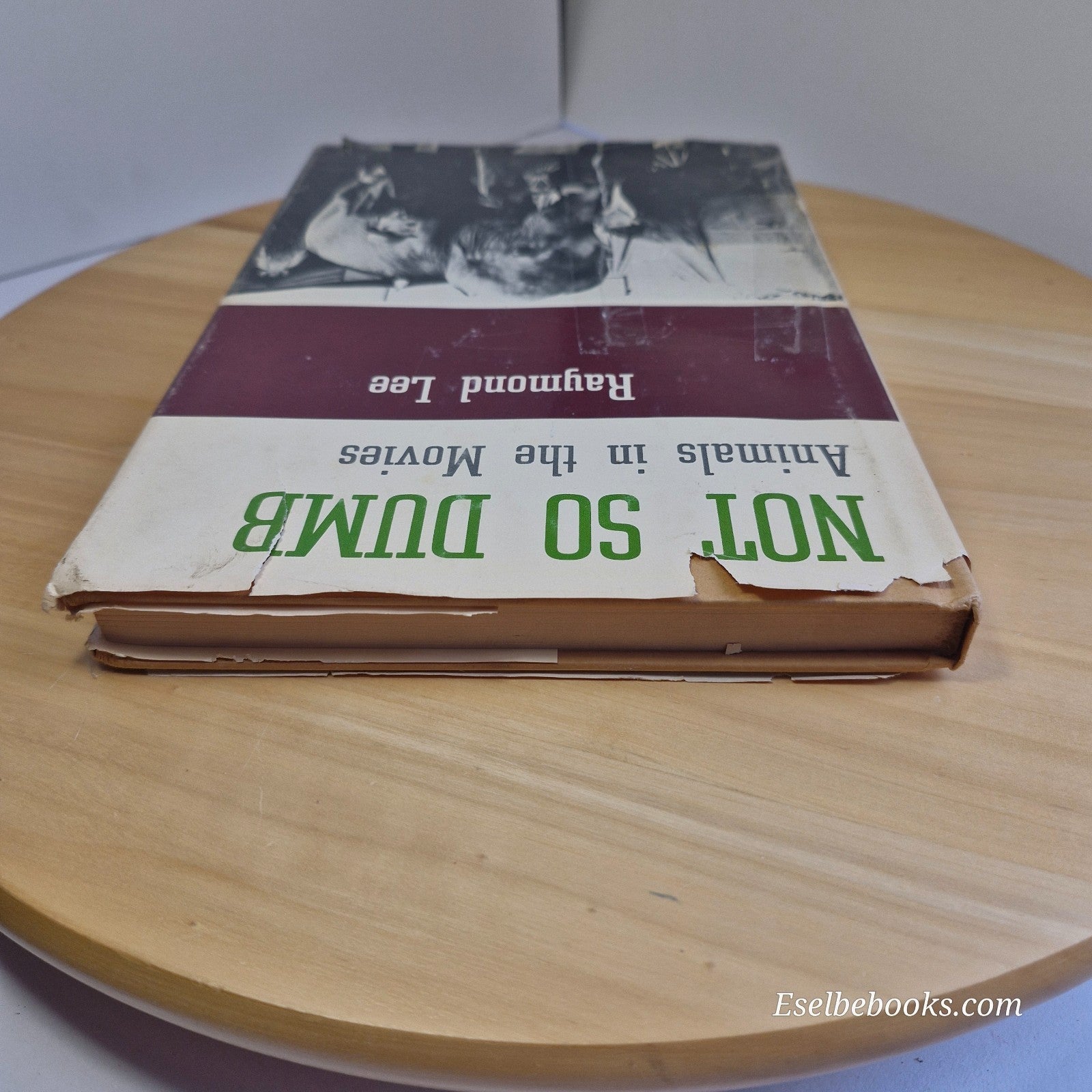 Not so Dumb : the Life and Times of the Animal Actors by Raymond Lee - hardback