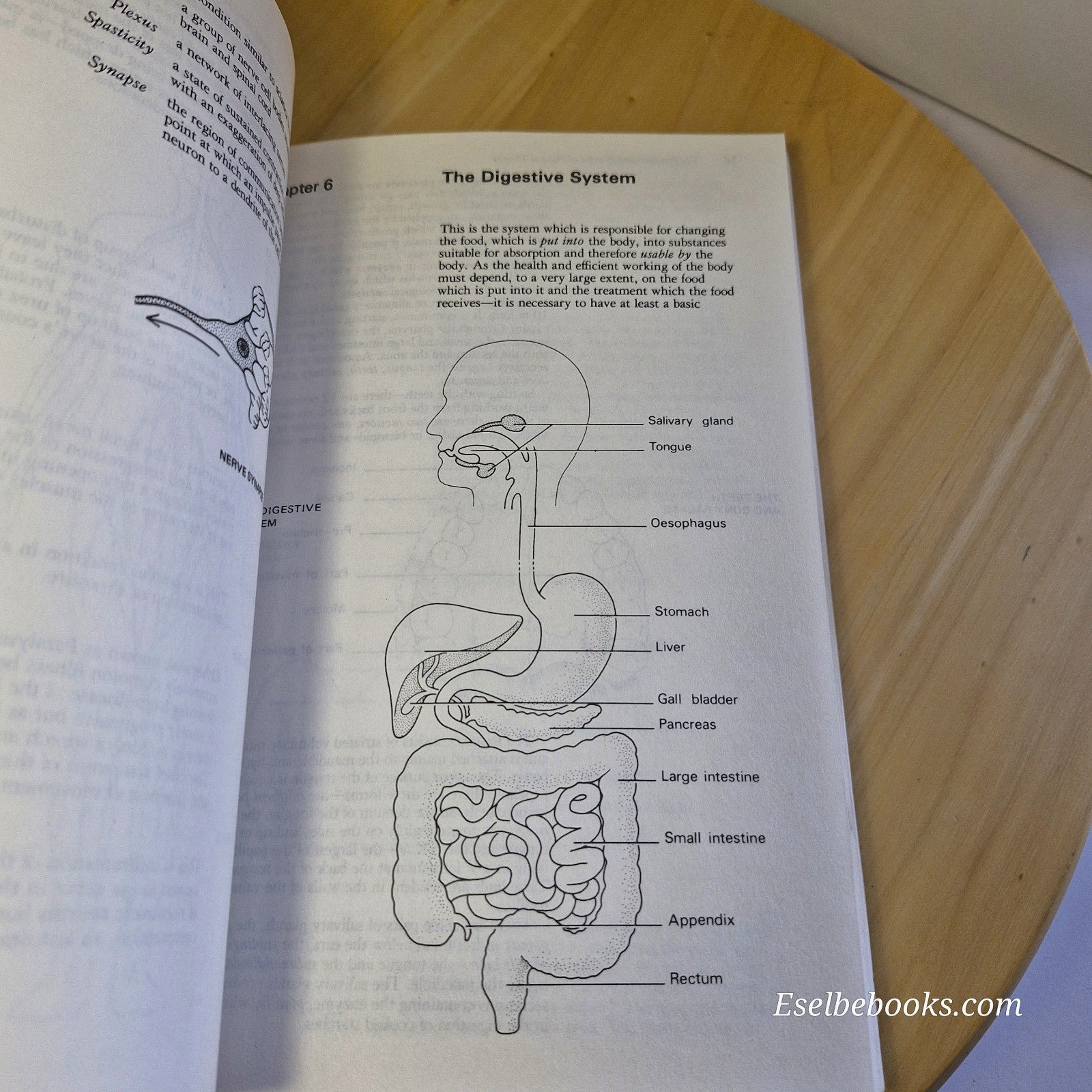 The Principles and Practice of Physical Therapy by W E Arnould-Taylor 1982