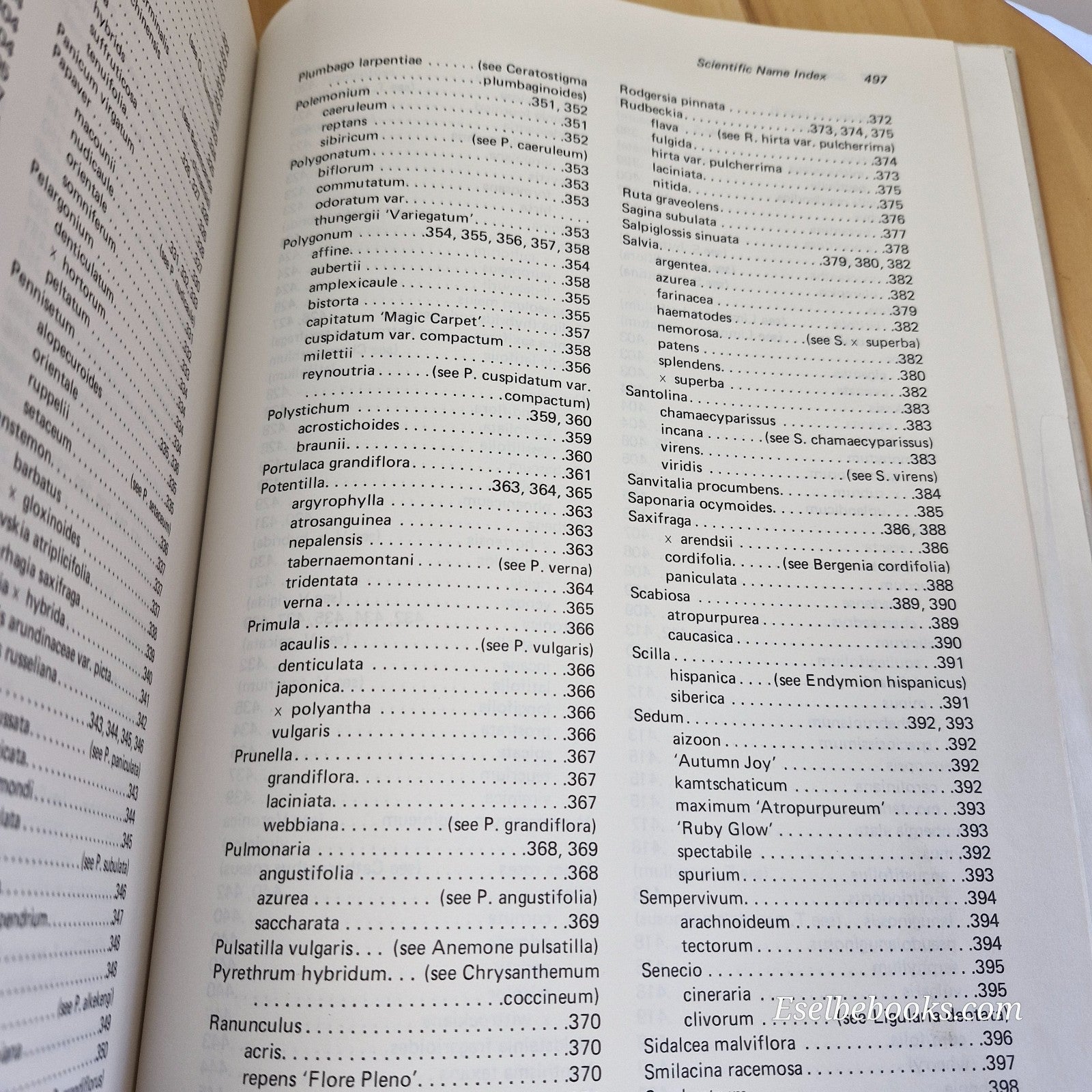 Manual of Herbaceous Ornamental Plants By Steven M. Still - large hardback