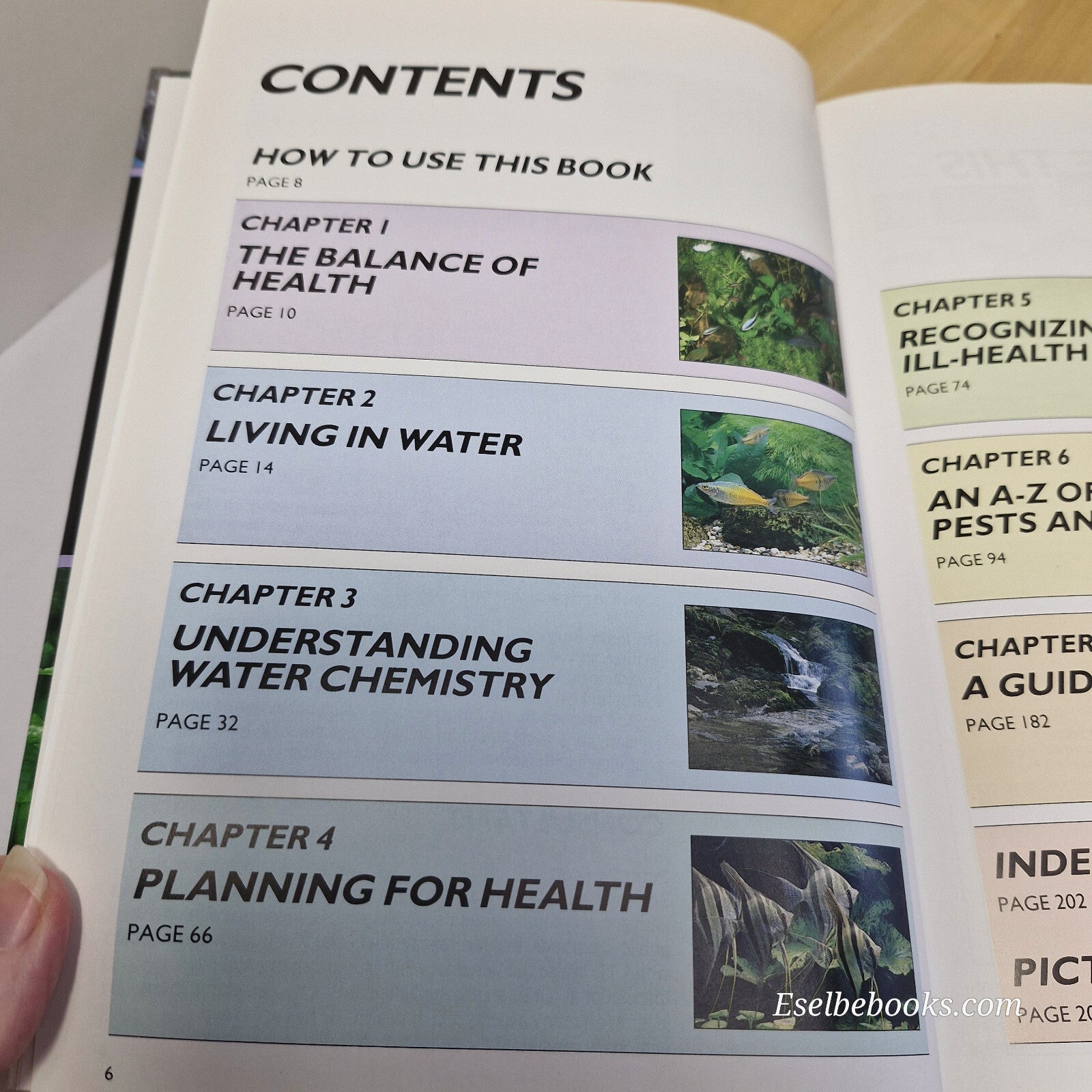 The Interpet Manual of Fish Health By Chris Andrews, Adrian Exell, Neville Ca...