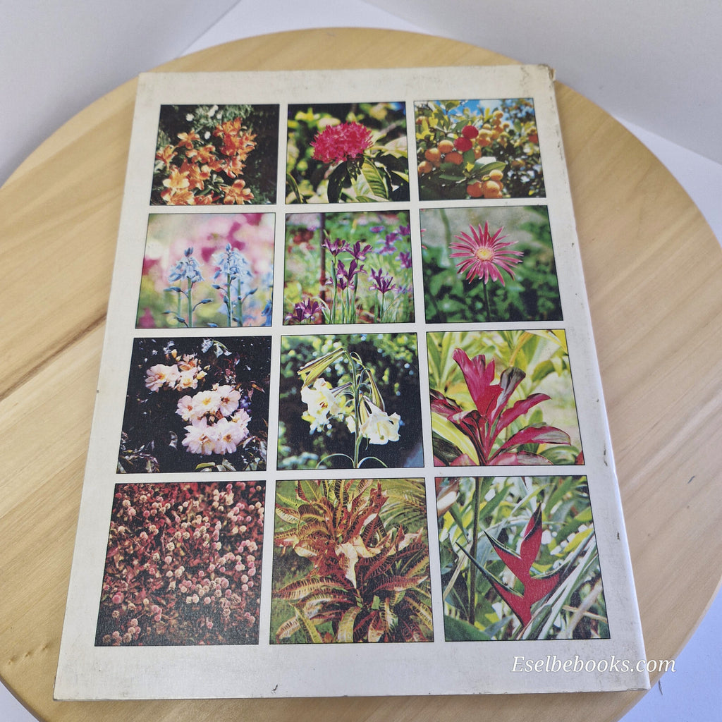 Australian flora: What Flower is That? By Stirling Macoboy · 1980
