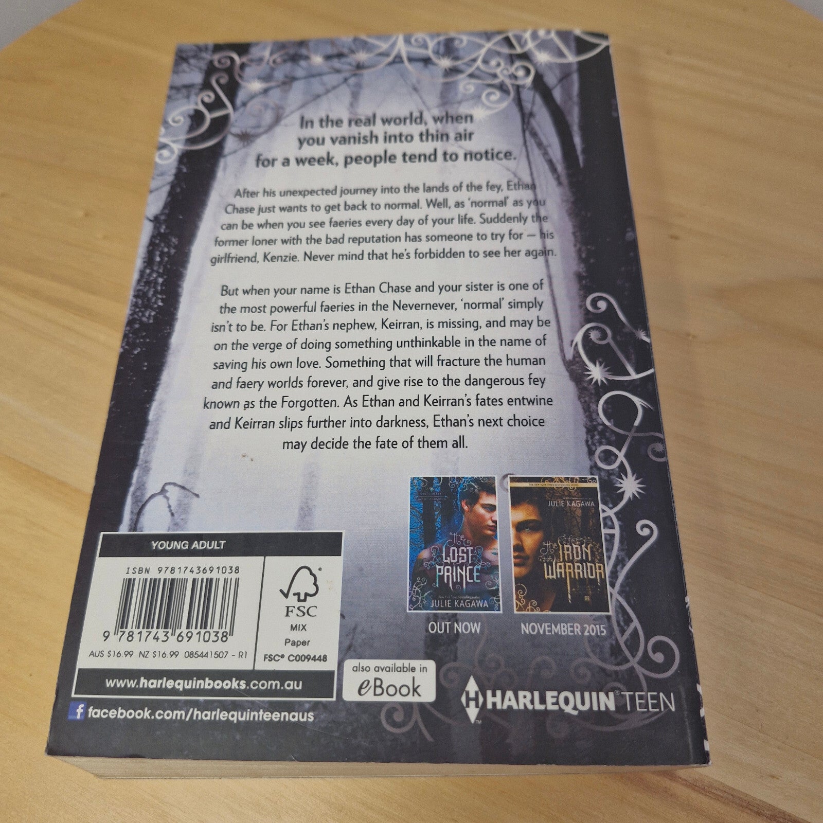 Fantasy fiction: The Iron Traitor By Julie Kagawa · 2013 - paperback