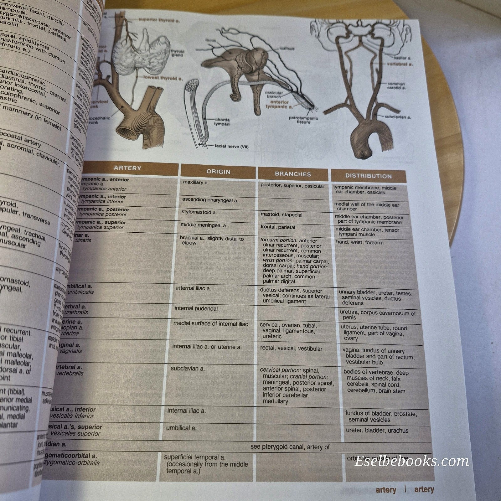 HarperCollins Illustrated Medical Dictionary by B. John Melloni, Gilbert M....