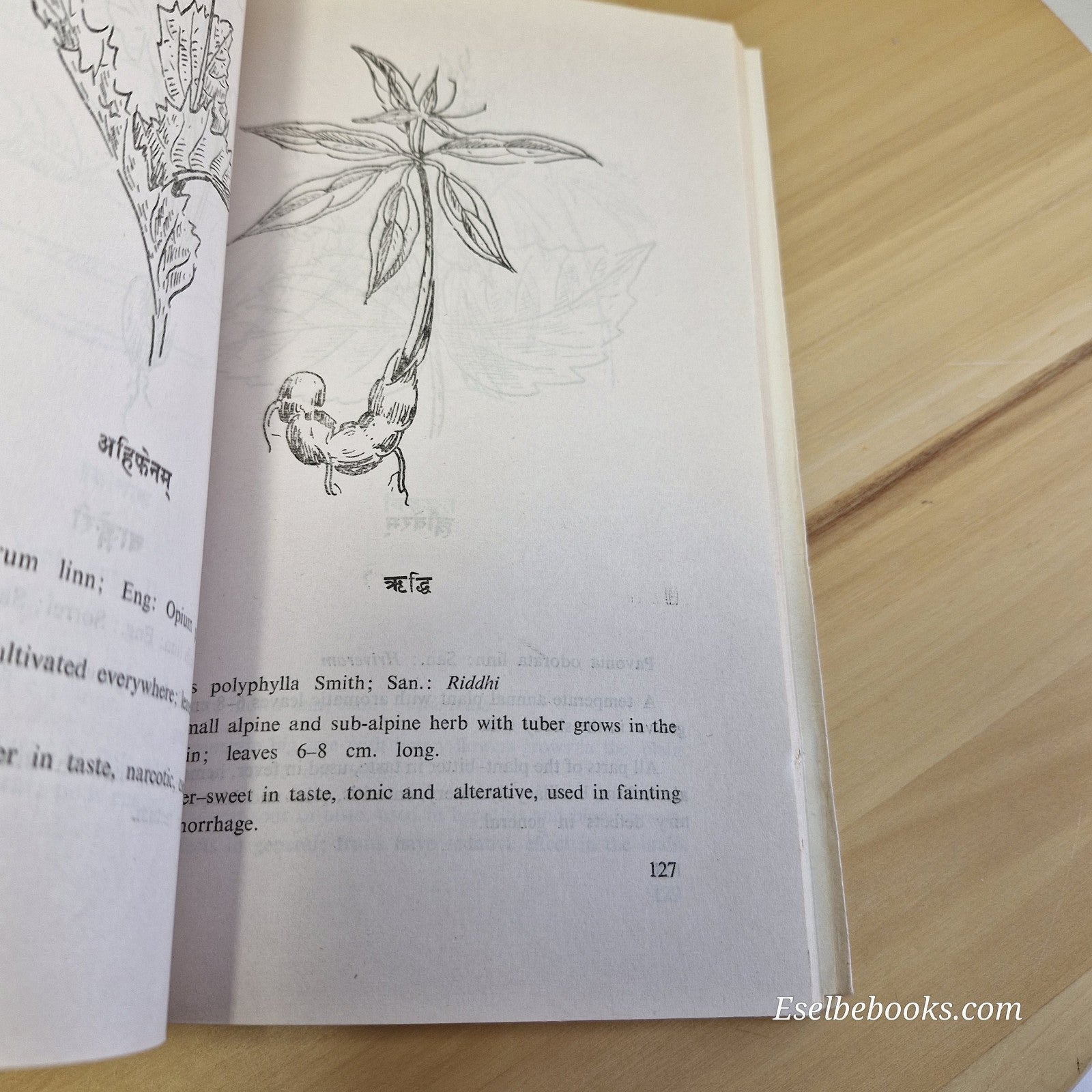 Ayurvedic Medicinal Plants and General Treatment By Mana Bajra Bajracharya