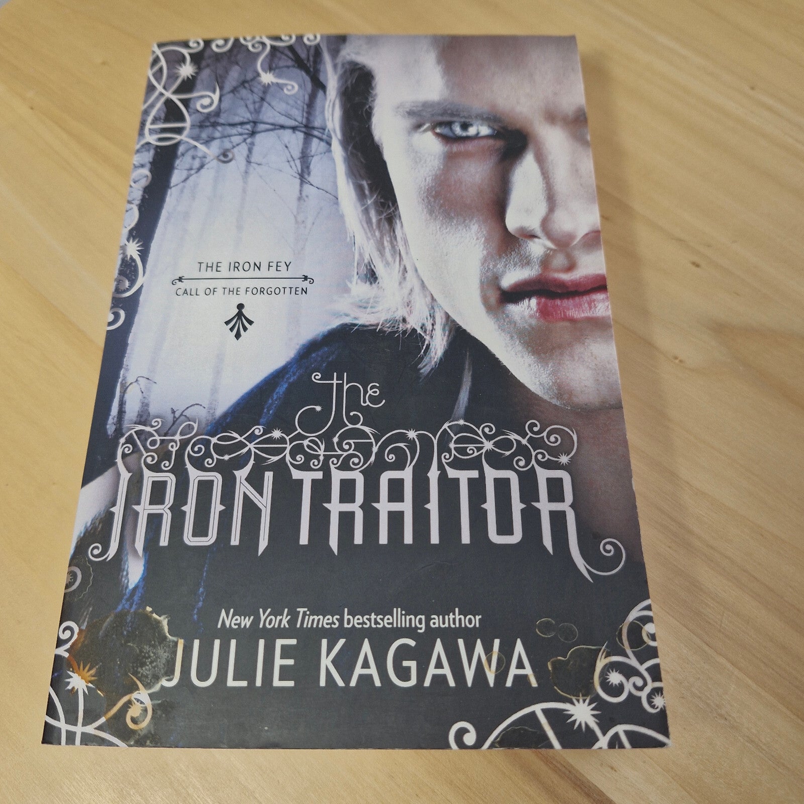 Fantasy fiction: The Iron Traitor By Julie Kagawa · 2013 - paperback