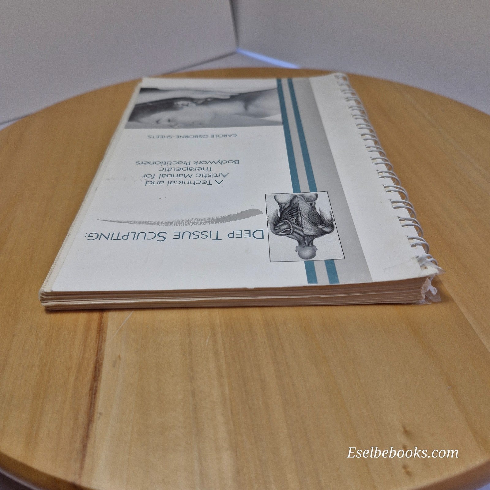 Deep Tissue Sculpting A Technical and Artistic Manual for Therapeutic Bodywork