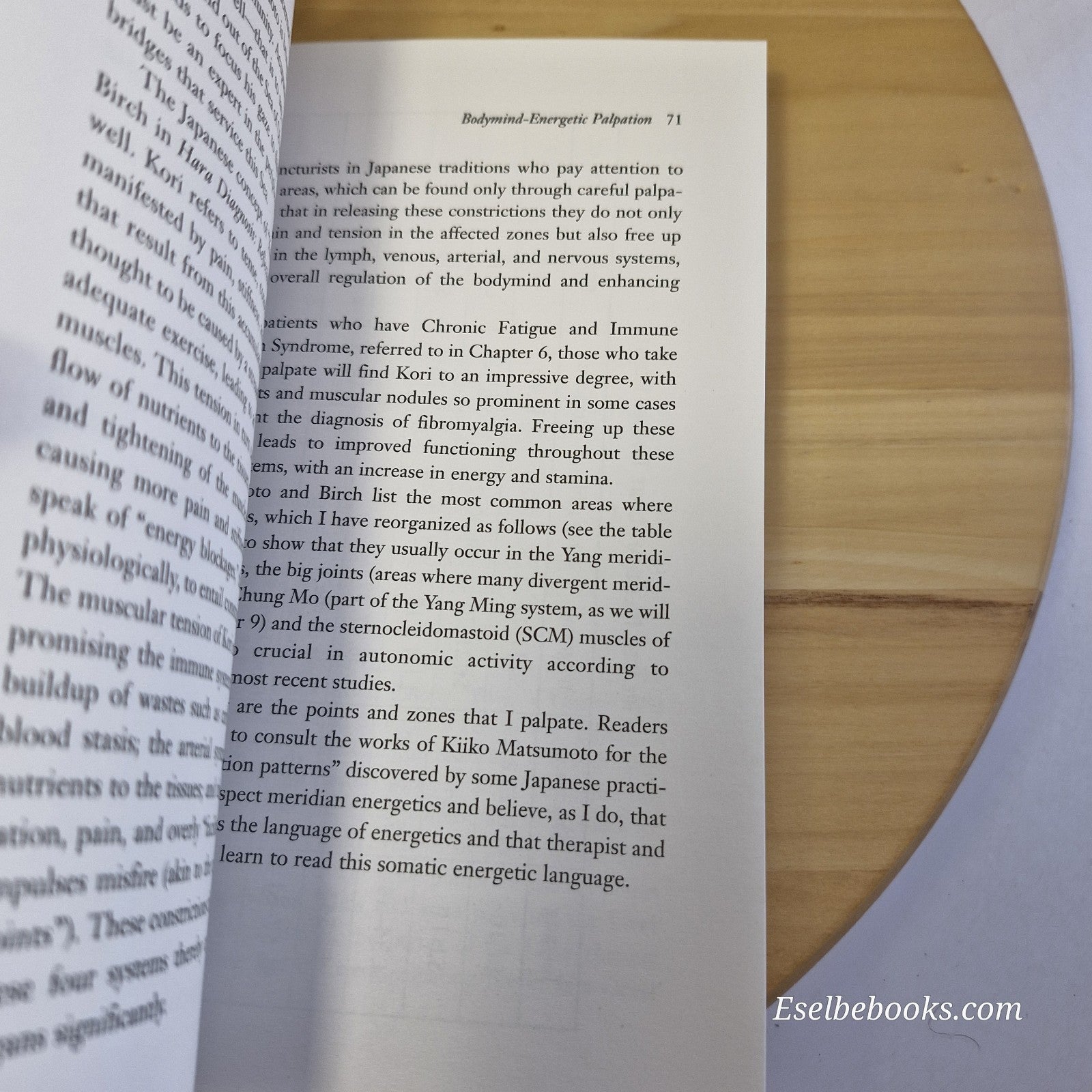 Acupuncture Imaging: Perceiving the Energy Pathways of the Body by Mark Seem
