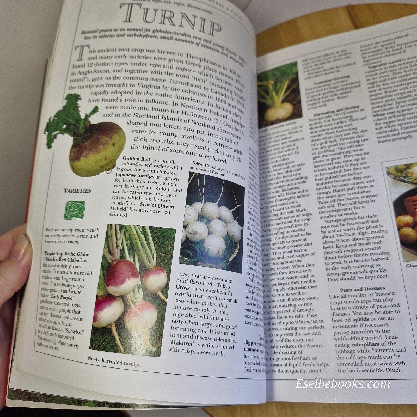 The Complete Book of Vegetables Herbs and Fruit by Bob Flowerdew Jekka - paperba