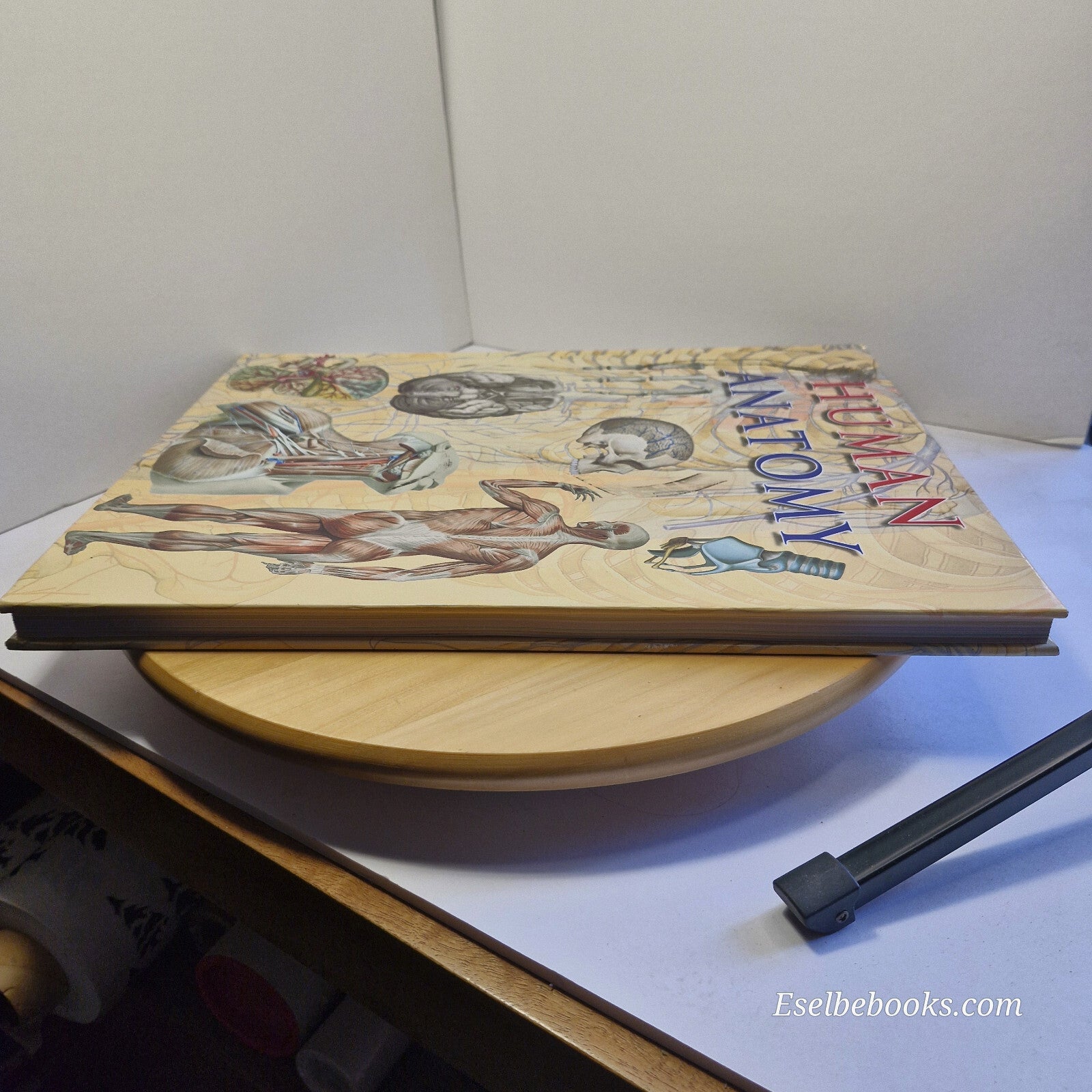 Human Anatomy By Giovanni Iazzetti · 2006 - large hardback