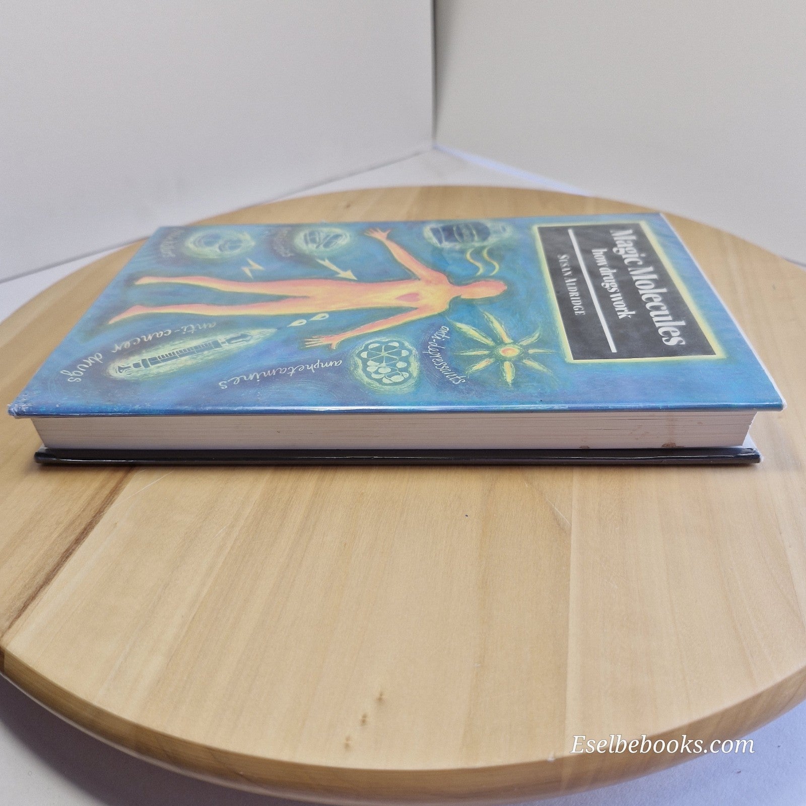 Magic Molecules: How Drugs Work by Aldridge, Susan [Hardback]