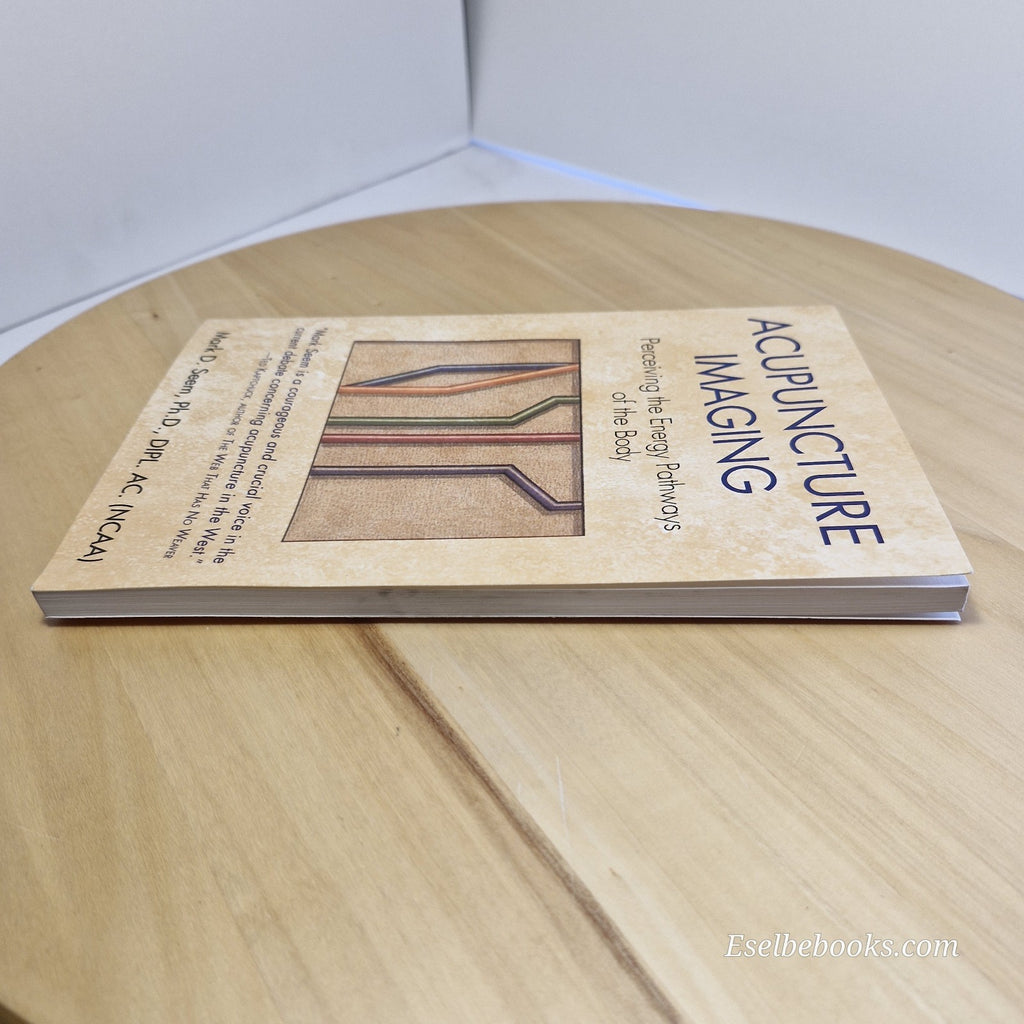 Acupuncture Imaging: Perceiving the Energy Pathways of the Body by Mark Seem
