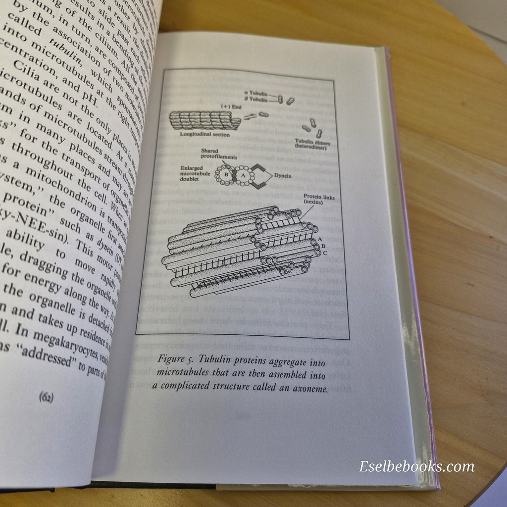 Cells Amazing Forms and Functions By John K. Young · 1990 - hardback with dj